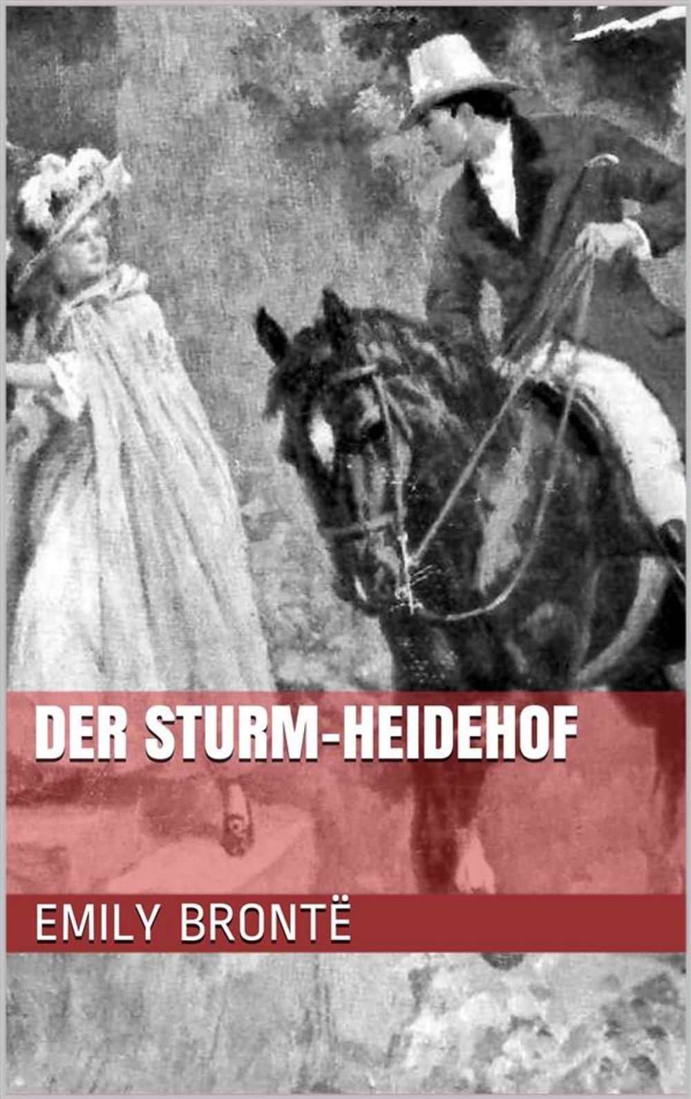 Big bigCover of Der Sturm-Heidehof