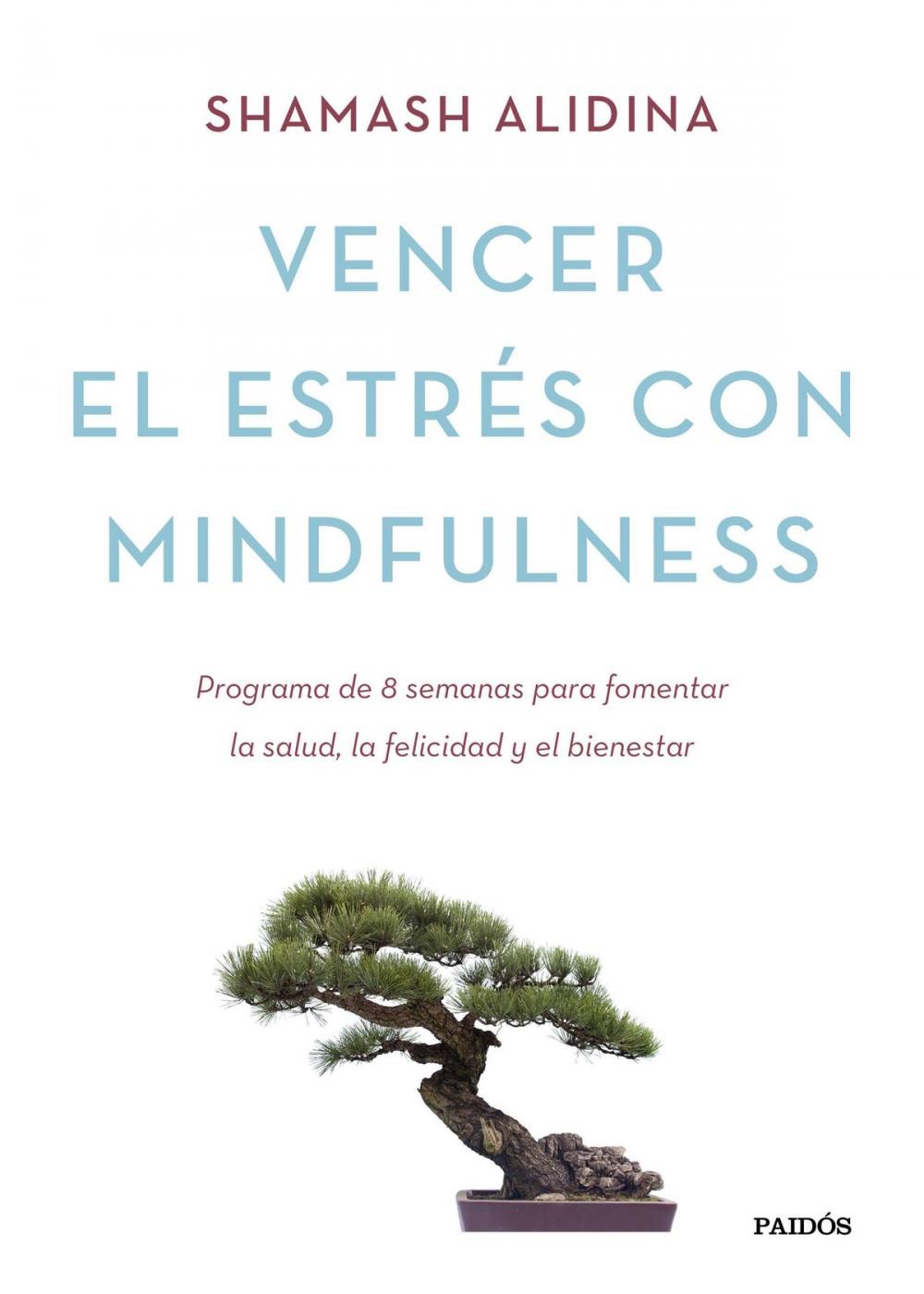 Big bigCover of Vencer el estrés con mindfulness