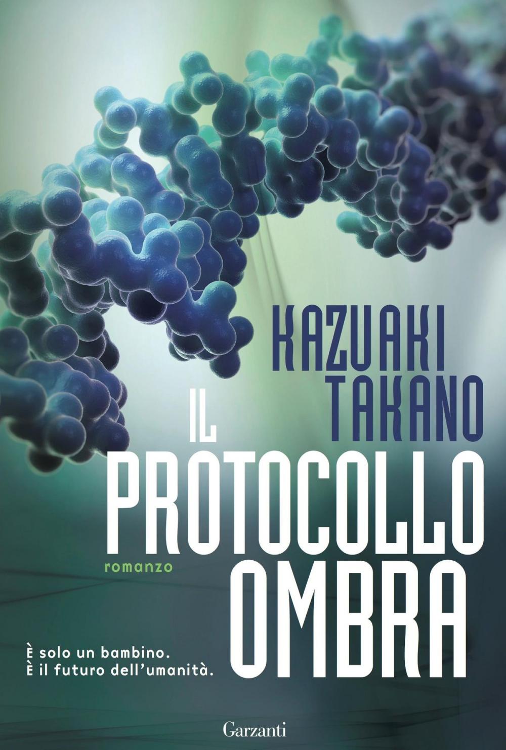 Big bigCover of Il Protocollo ombra