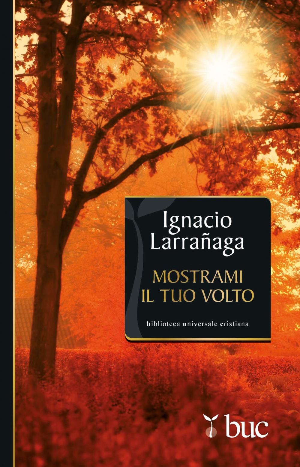 Big bigCover of Mostrami il tuo volto. Verso l'intimità con Dio