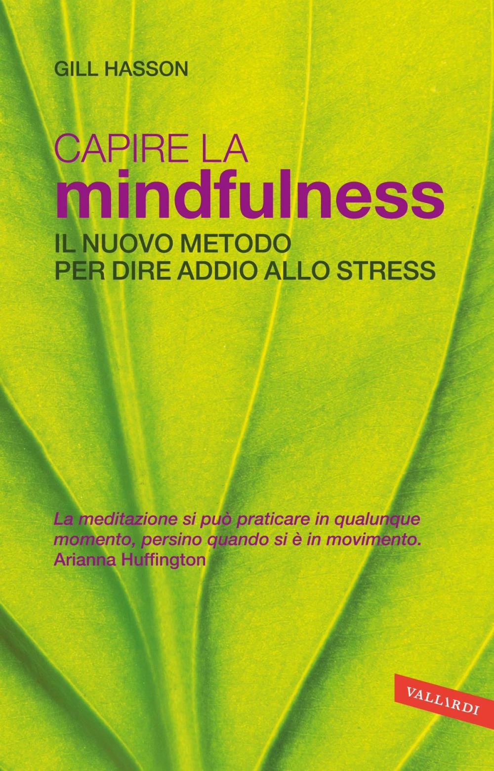 Big bigCover of Capire la Mindfulness