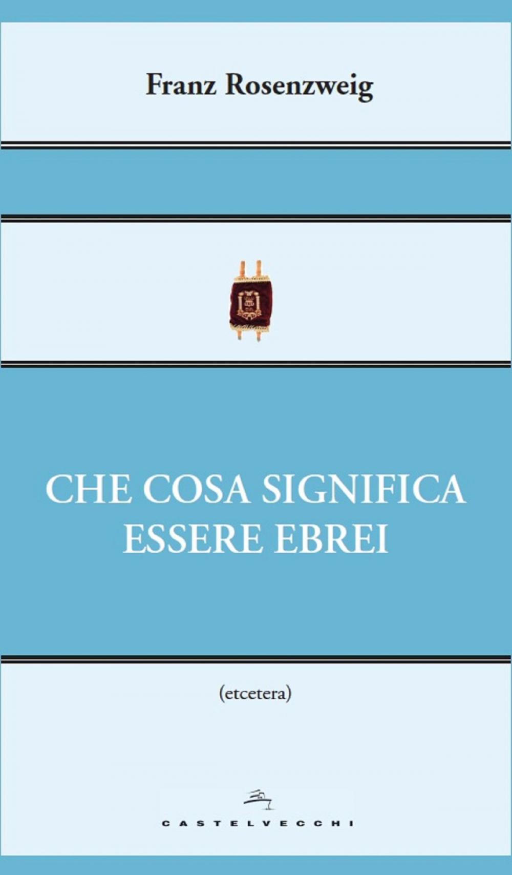 Big bigCover of Che cosa significa essere ebrei