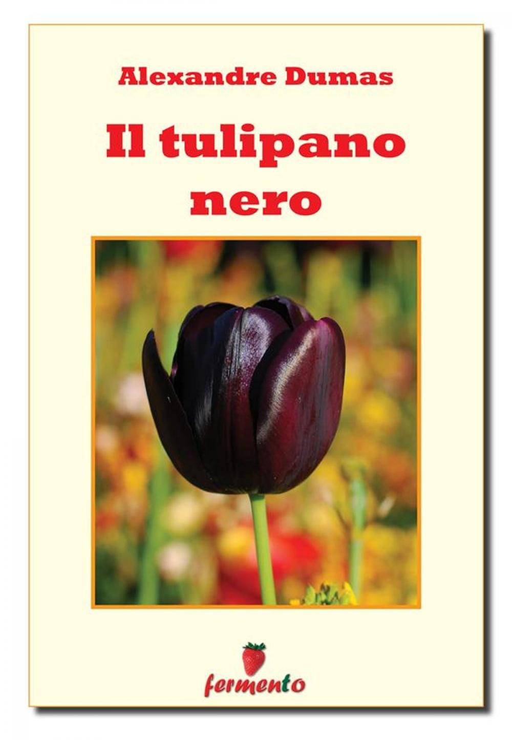 Big bigCover of Il tulipano nero