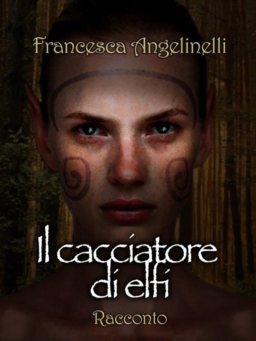 Big bigCover of Il cacciatore di elfi