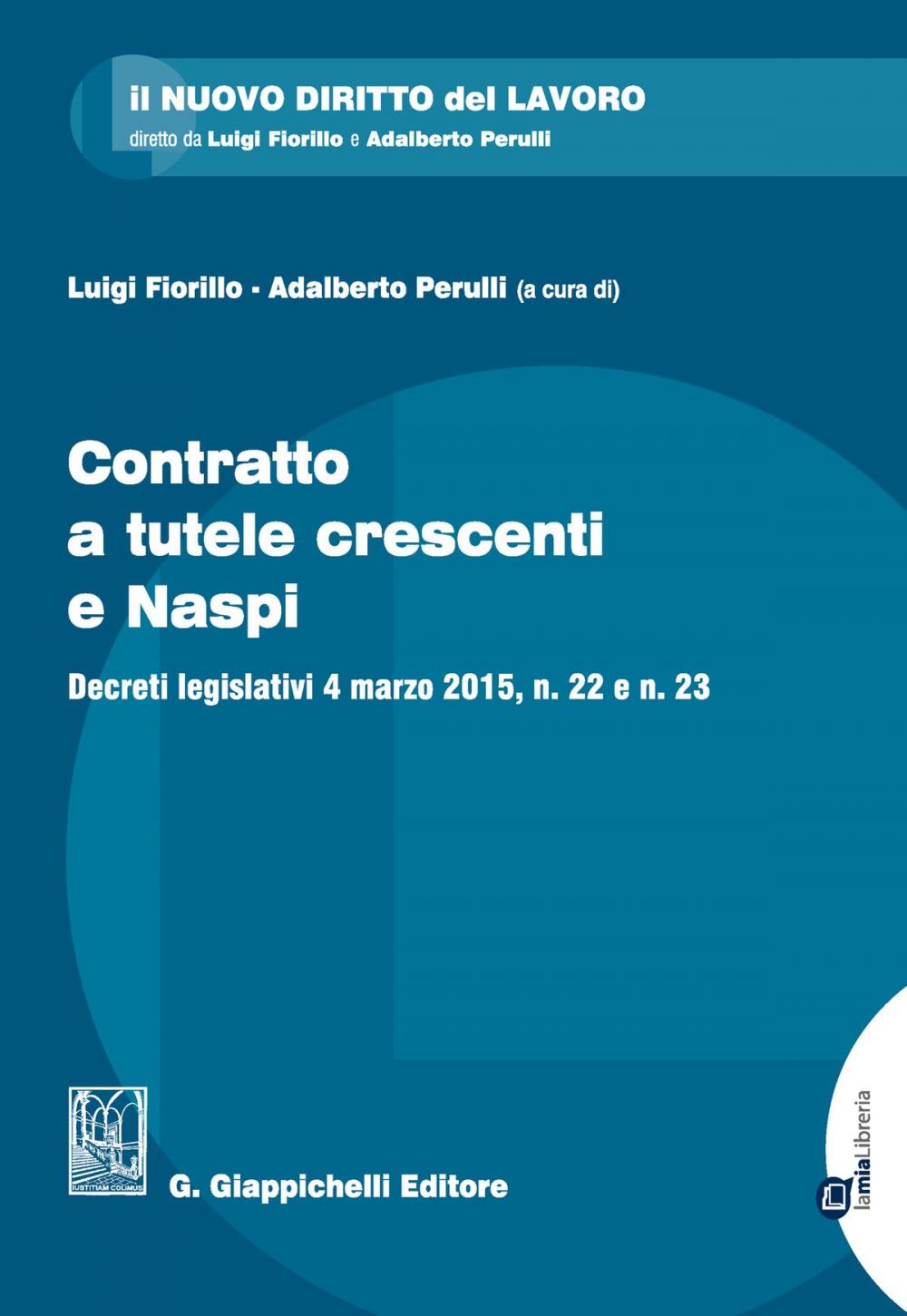 Big bigCover of Contratto a tutele crescenti e Naspi