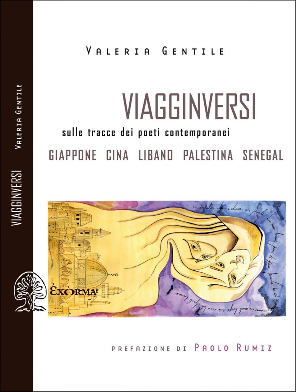 Big bigCover of Viagginversi