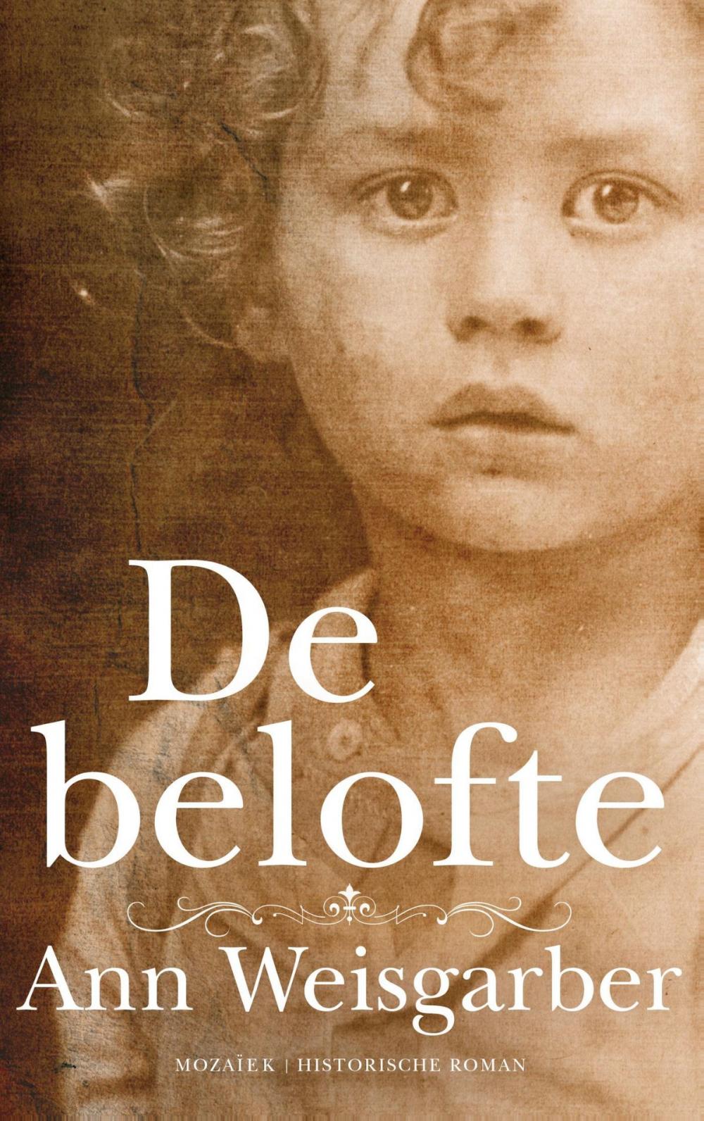 Big bigCover of De belofte