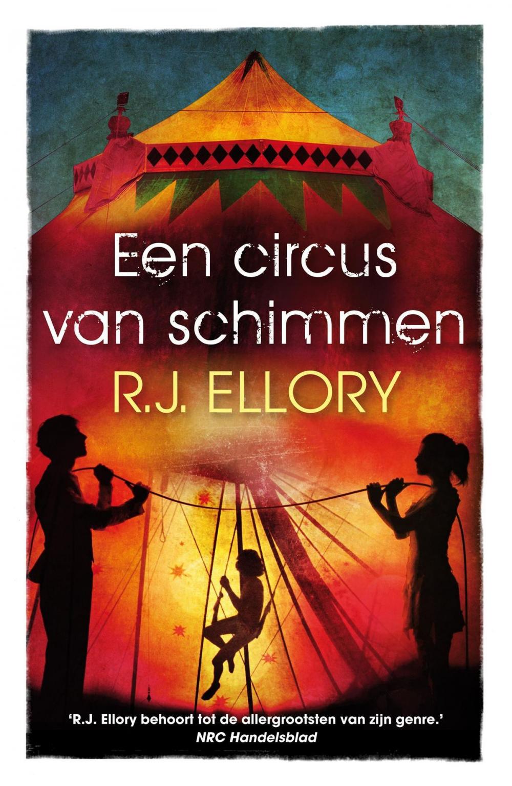 Big bigCover of Een circus van schimmen