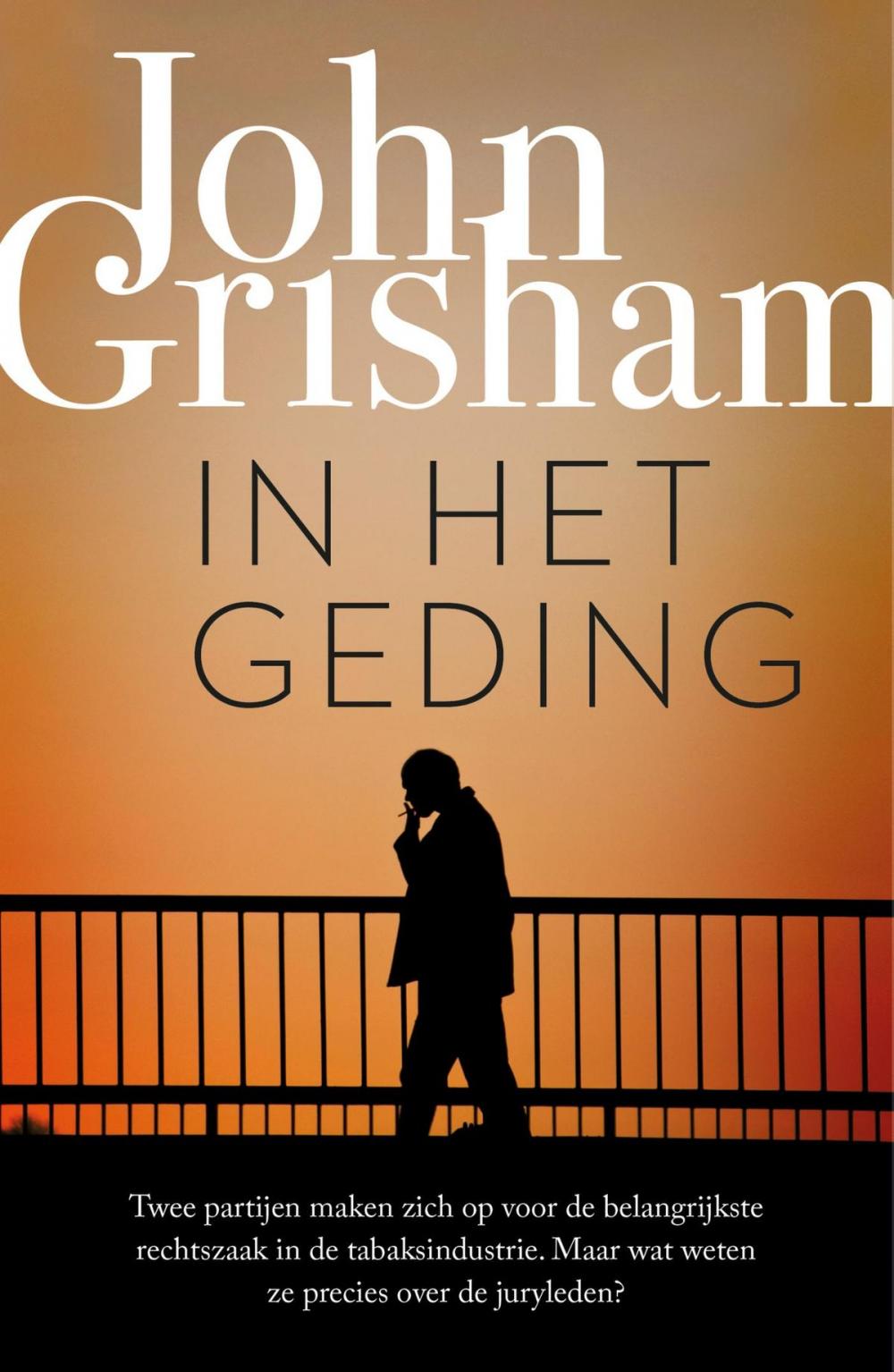 Big bigCover of In het geding