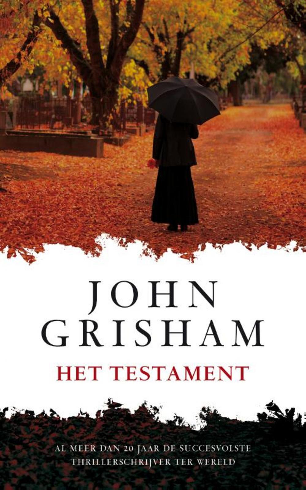 Big bigCover of Het testament