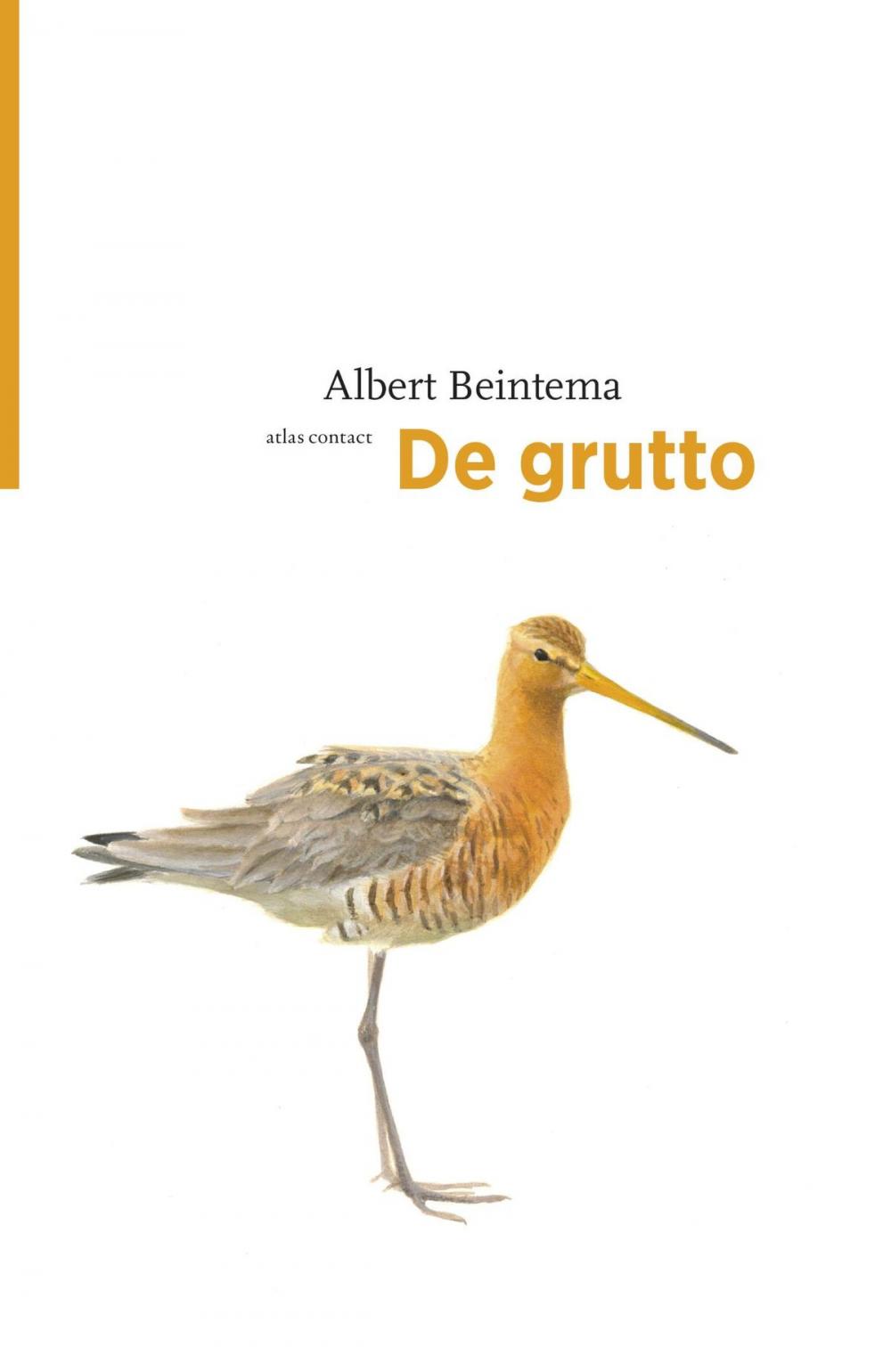 Big bigCover of De grutto