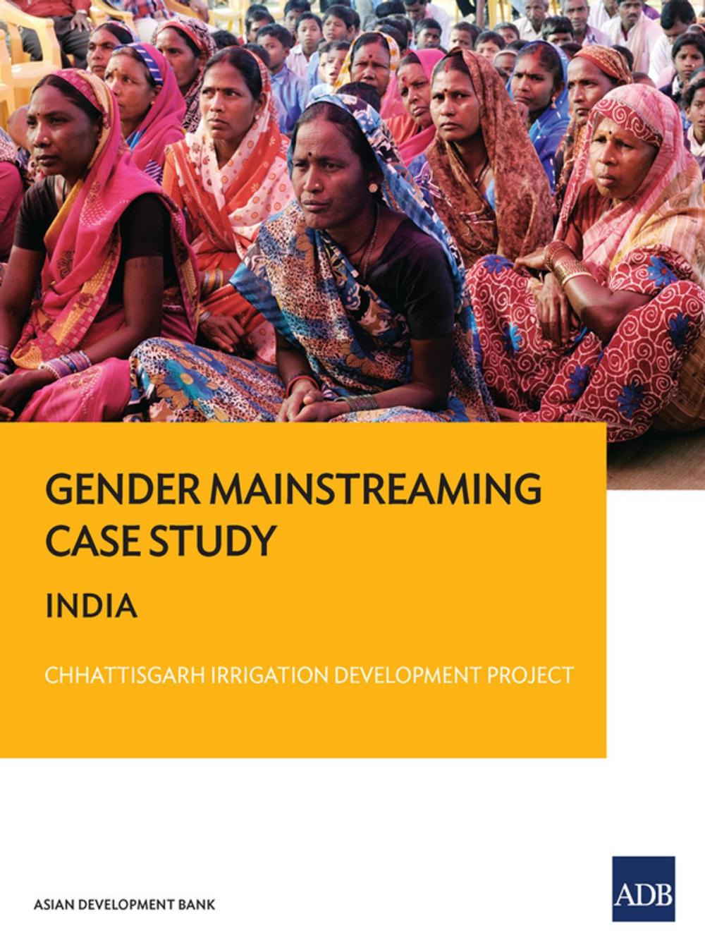 Big bigCover of Gender Mainstreaming Case Study