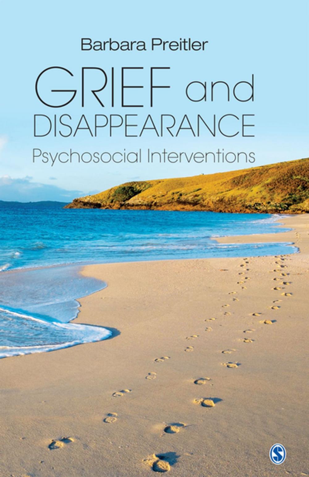 Big bigCover of Grief and Disappearance