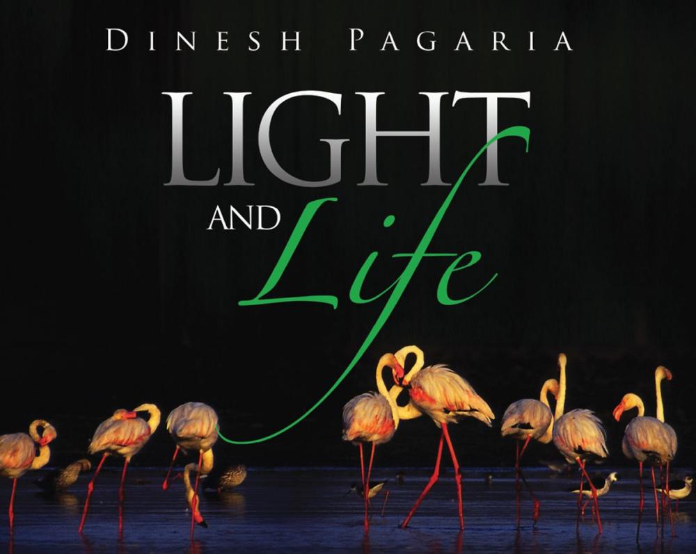 Big bigCover of Light and Life