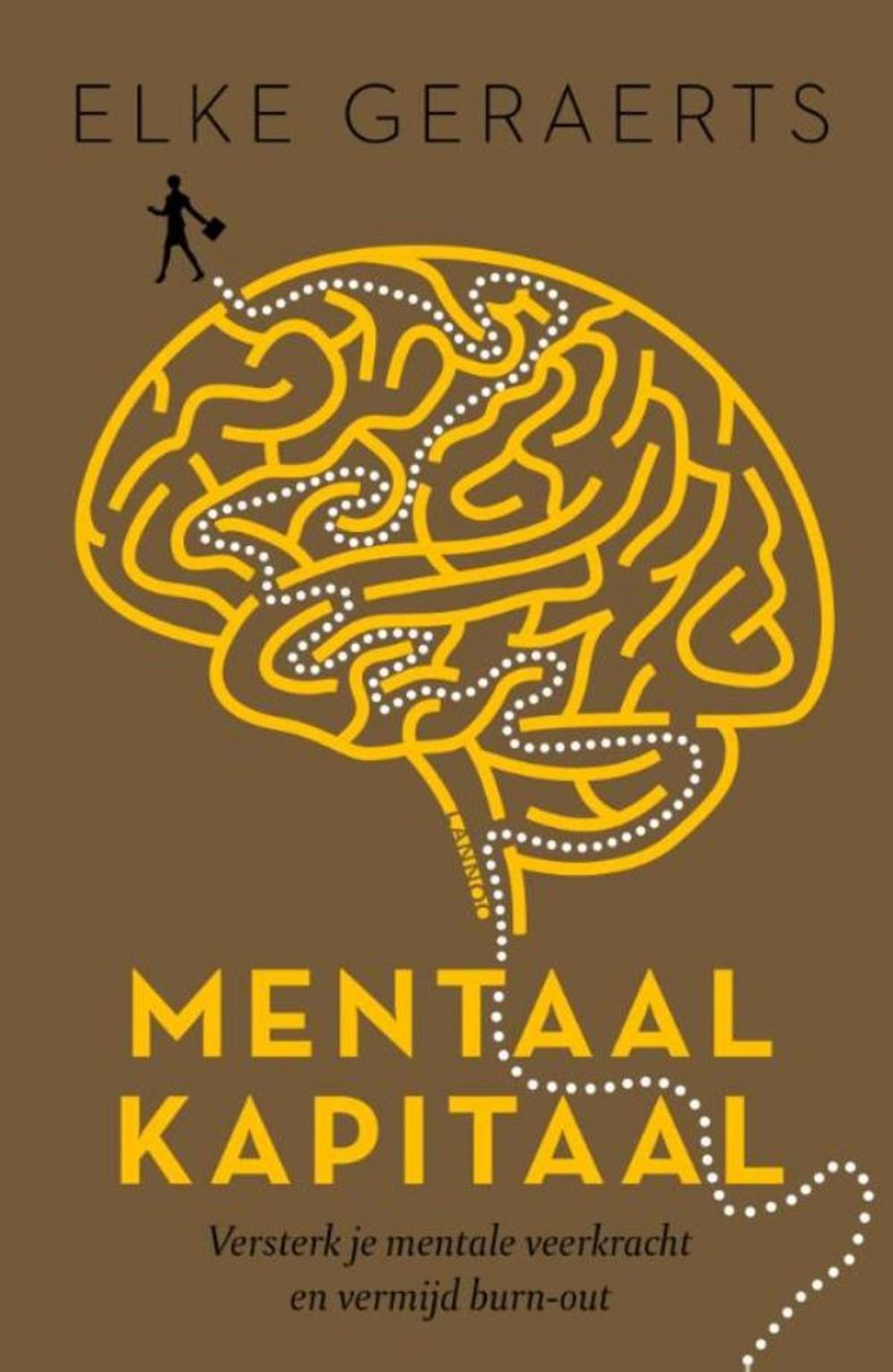 Big bigCover of Mentaal Kapitaal (E-boek - ePub formaat)