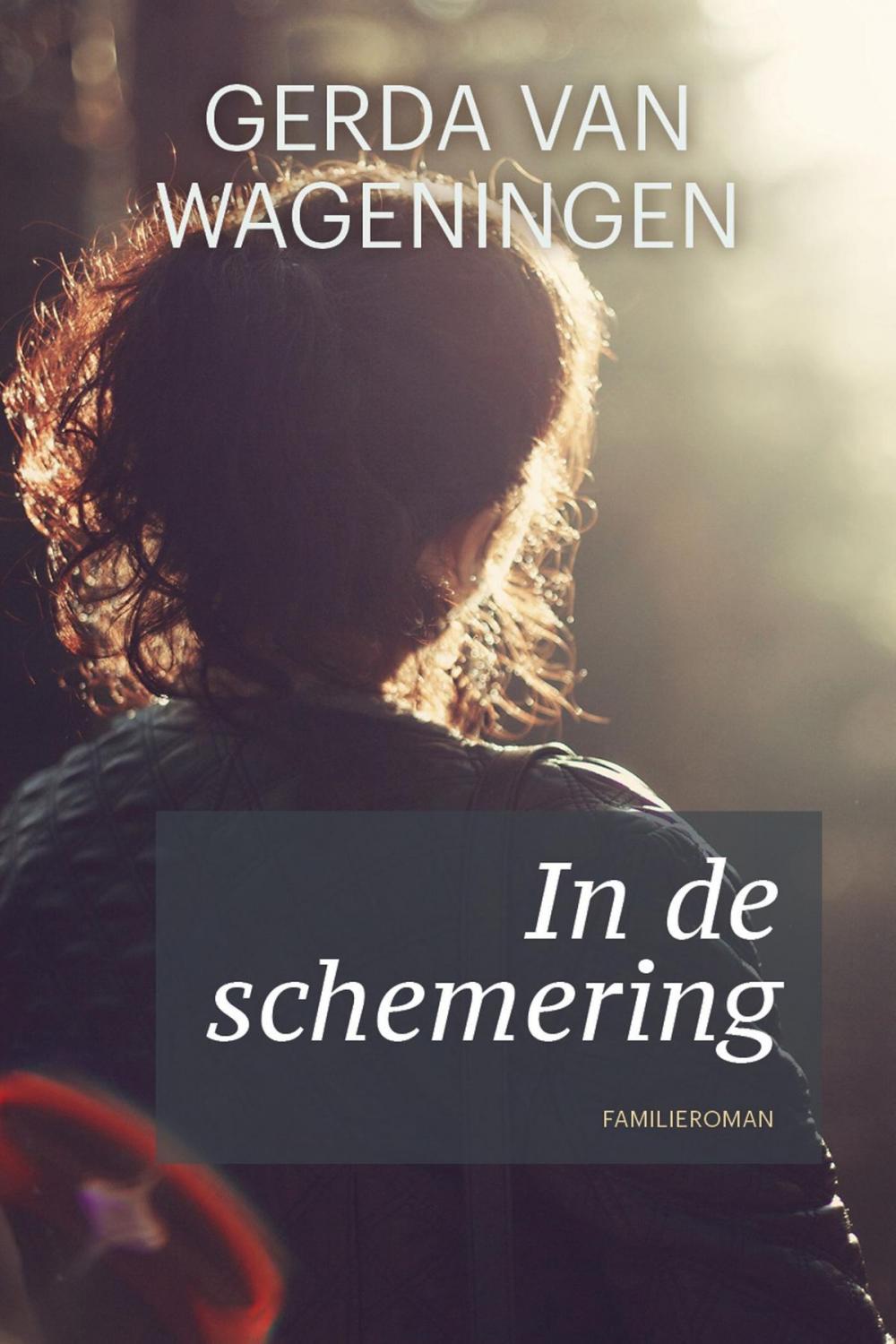 Big bigCover of In de schemering