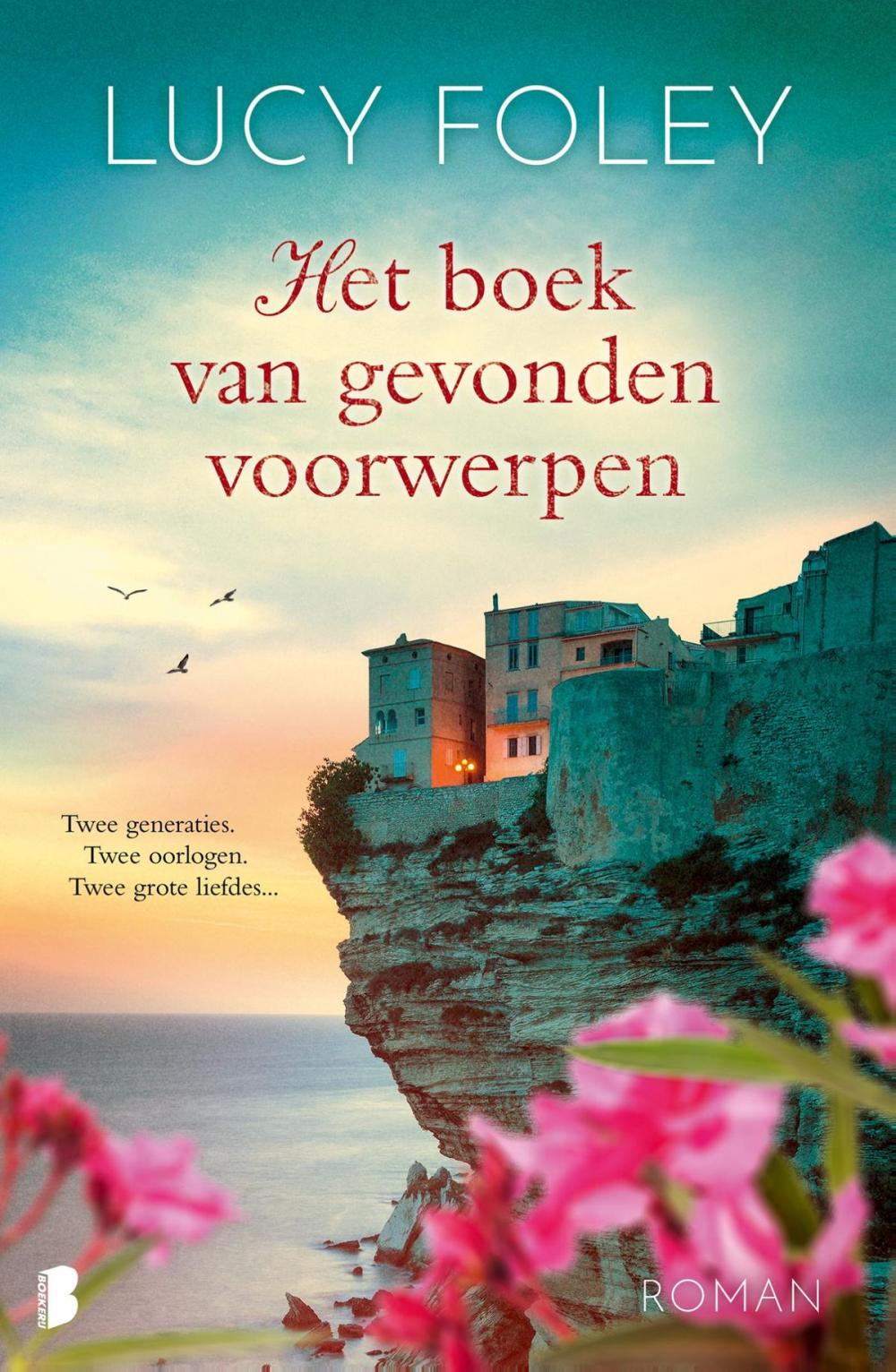 Big bigCover of Het boek van gevonden voorwerpen