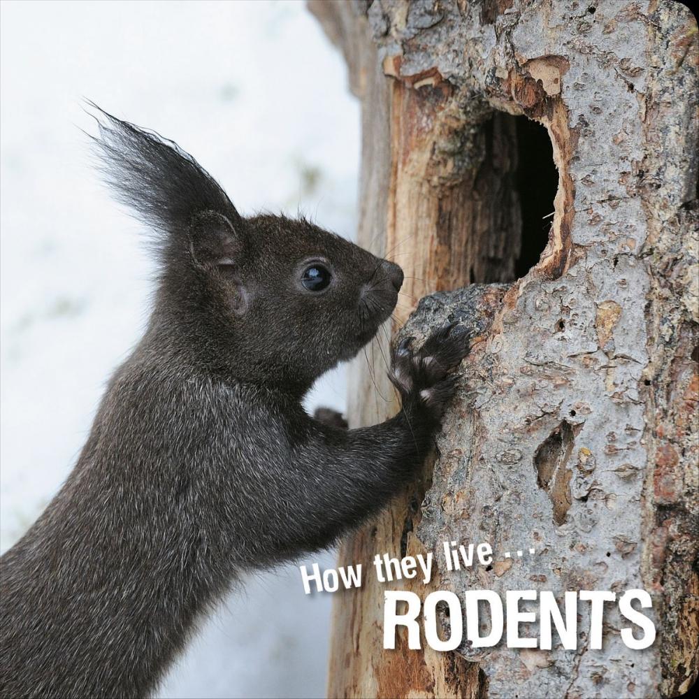 Big bigCover of How they live... Rodents