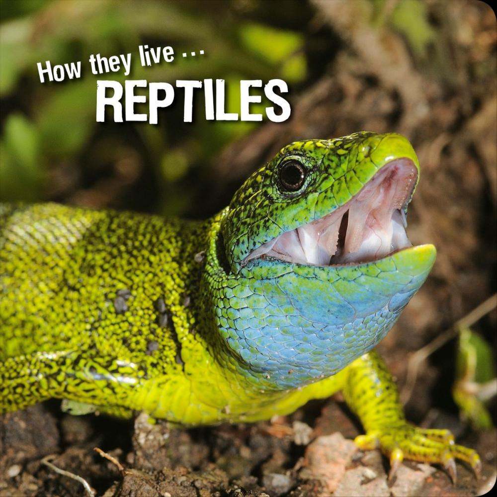 Big bigCover of How they live... Reptiles