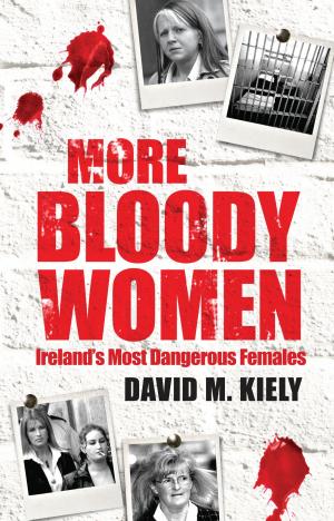 Book cover of More Bloody Women