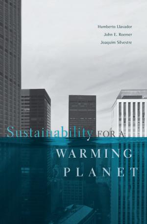 Cover of the book Sustainability for a Warming Planet by 