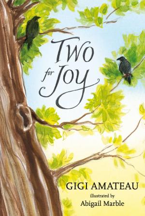 Cover of the book Two for Joy by Lindsay Eagar