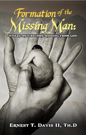 Book cover of Formation of the Missing Man