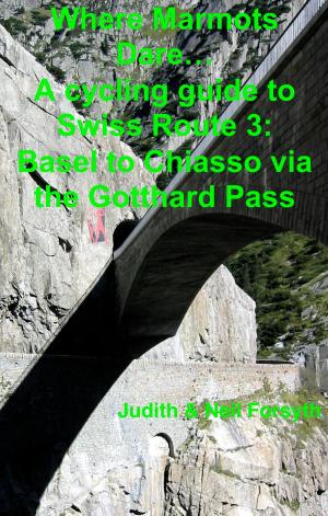 Book cover of Where Marmots Dare… A cycling guide to Swiss Route 3: Basel to Chiasso via the Gotthard Pass