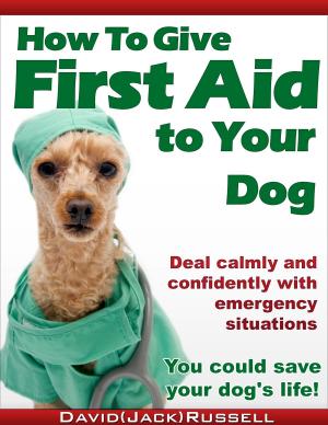 Cover of How To Give First Aid To Your Dog