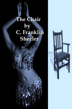 bigCover of the book The Chair by 