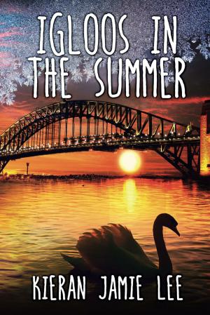 Cover of the book Igloos in the Summer by K. A. Salidas