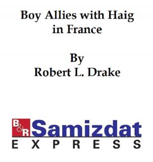 Book cover of The Boy Allies with Haig in Flanders or The Fighting Canadians of Vimy Ridge