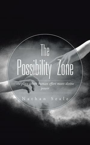 bigCover of the book The Possibility Zone by 