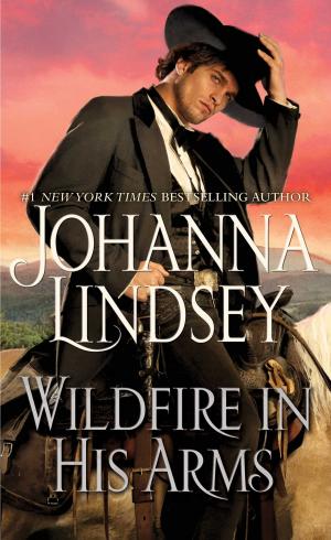 Cover of the book Wildfire In His Arms by Mary Lou Kirwin