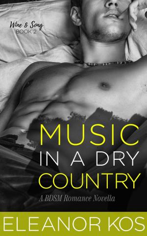 Book cover of Music in a Dry Country: A BDSM Romance Novella