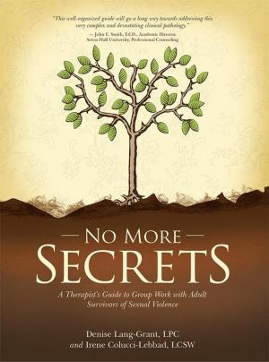 Cover of the book No More Secrets by Jose Morales Dorta PhD
