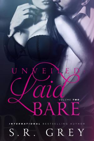 Cover of the book Unveiled: Laid Bare #2 by Daphne James Huff