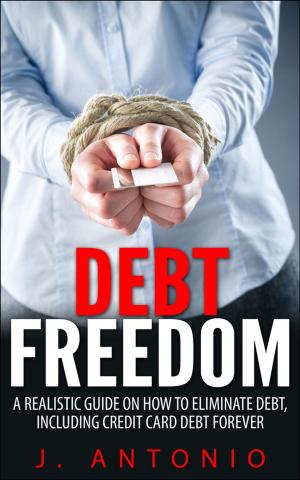 Cover of Debt Freedom: A Realistic Guide On How To Eliminate Debt, Including Credit Card Debt Forever