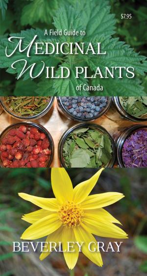Cover of the book A Field Guide to Medicinal Wild Plants of Canada by Owain Nicholson