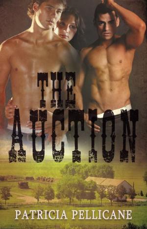 Cover of the book The Auction by Melinda Barron
