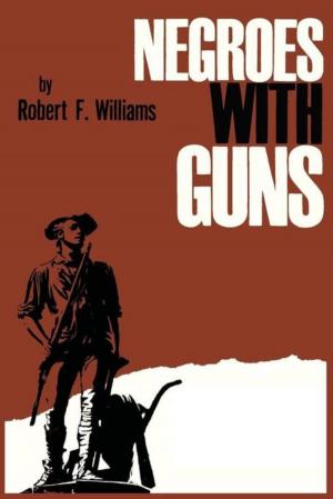 Cover of the book Negroes with Guns by Barbara Valotti
