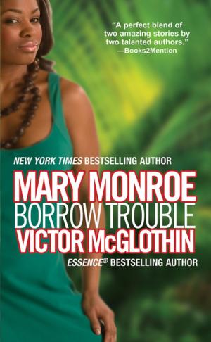 Cover of the book Borrow Trouble by Dorothy Howell