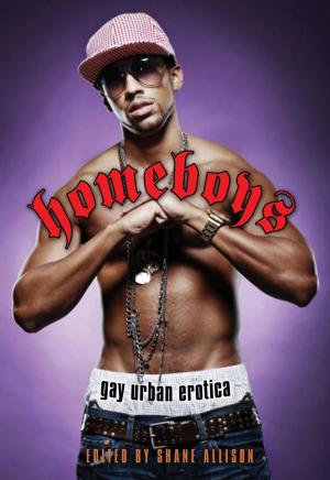 bigCover of the book Homeboys: Gay Urban Erotica by 