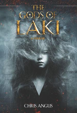 Cover of the book The Gods of Laki by Benjamin Broke