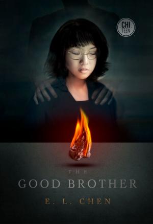 Cover of the book The Good Brother by Rupert Bottenberg