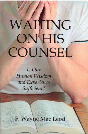 Cover of the book Waiting On His Counsel by William Dean