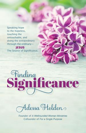 Cover of the book Finding Significance by Lisa Taylor