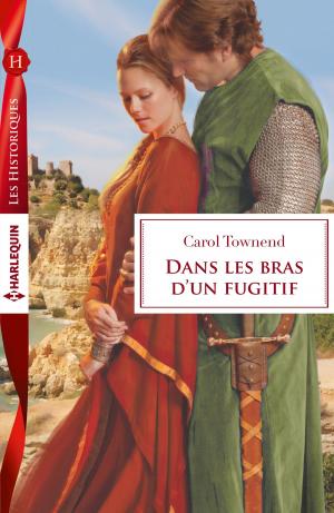 Cover of the book Dans les bras d'un fugitif by Daire St. Denis