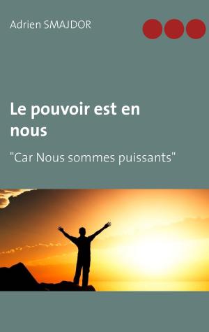 Cover of the book Le pouvoir est en nous by Norbert Heyse