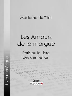 Cover of the book Les Amours de la morgue by Hector Malot, Ligaran